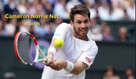 Cameron Norrie's Overview