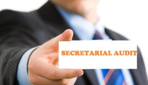 limits of Secretarial Audit