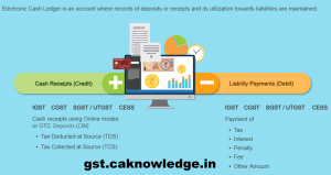 Electronic cash ledger at GST Portal