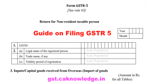 Guide on Filing GSTR 5