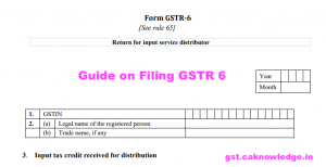 Guide on Filing GSTR 6