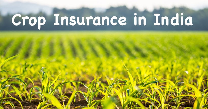 Crop Insurance in India