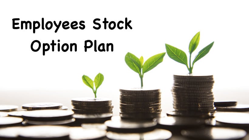 Employees Stock Option Plan