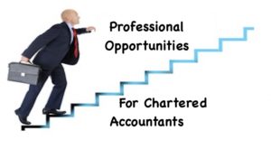 Professional Opportunities For Chartered Accountants