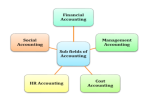 Sub fields of accounting