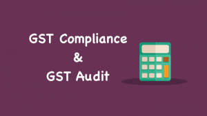 GST Compliance Audit