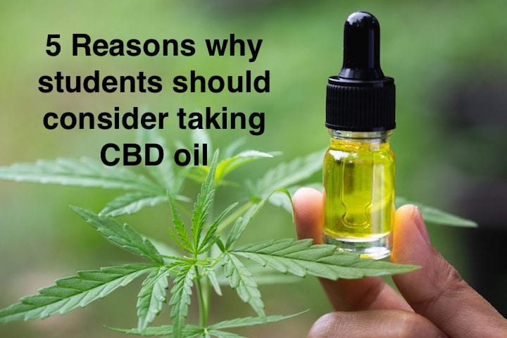 5 Reasons why students should consider taking CBD oil
