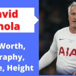 David Ginola Net Worth