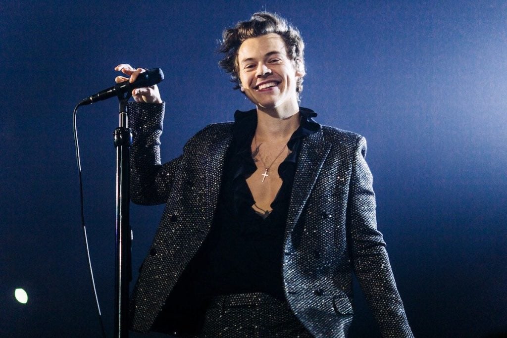 Harry Styles Net Worth 2024 Songs Earnings Assets