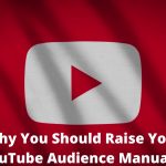 Raise Your YouTube Audience Manually