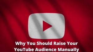 Raise Your YouTube Audience Manually