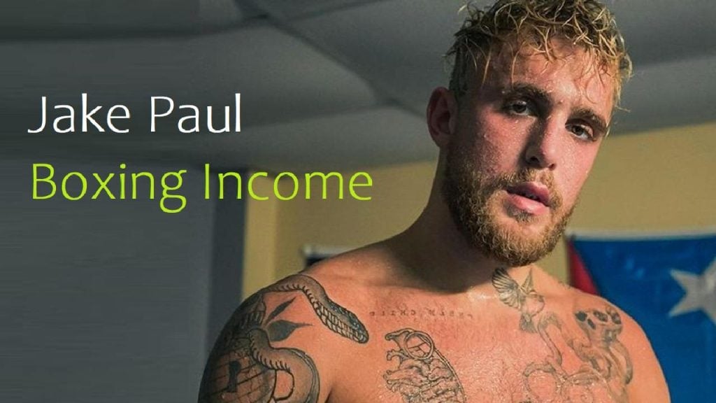 jake paul net worth earnings from boxing