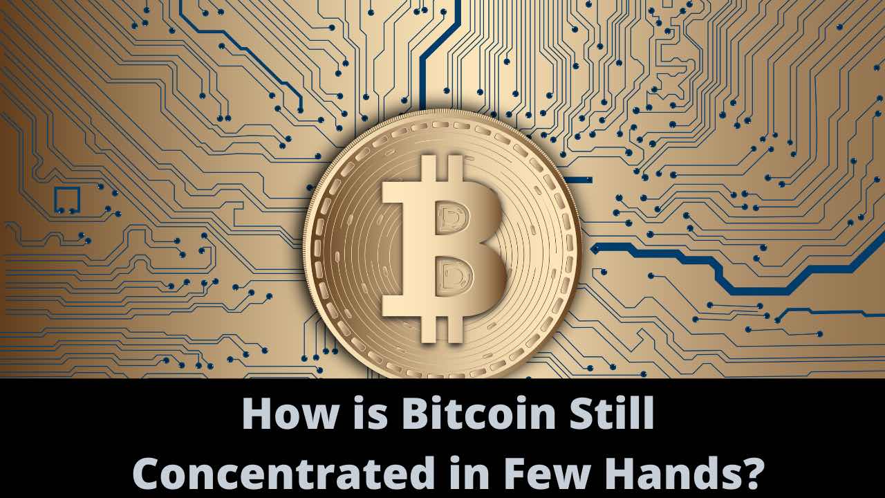 How is Bitcoin Still Concentrated in Few Hands?