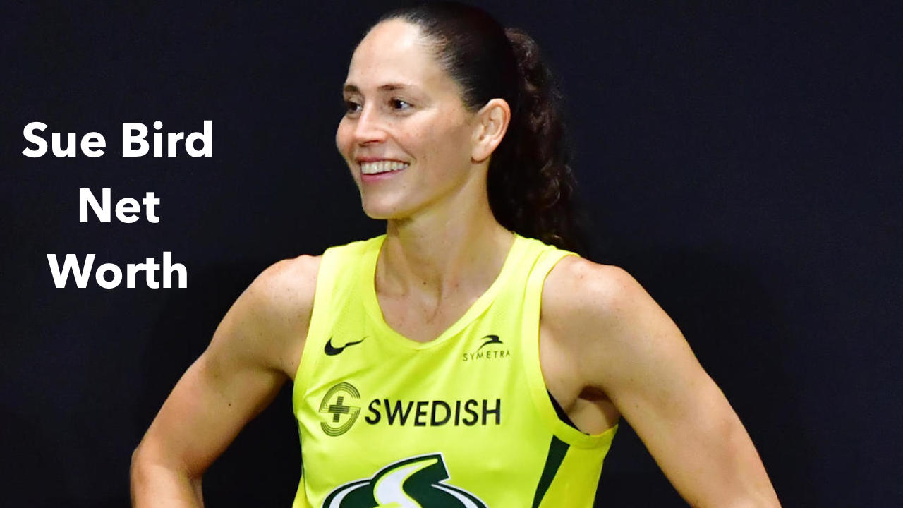Sue Bird Net Worth 2023: Biography Earnings Income Home
