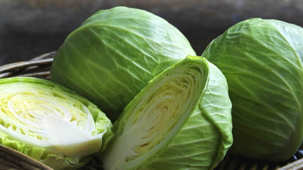 Cabbage dementia foods