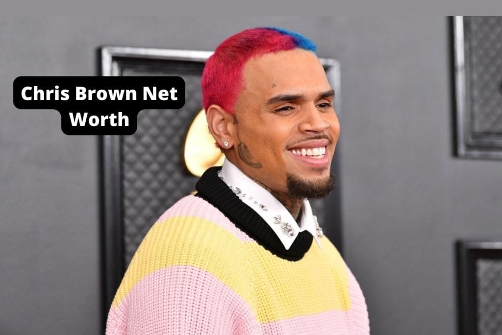 Chris Brown Net Worth 2024 Salary, Home, Age, and Wife
