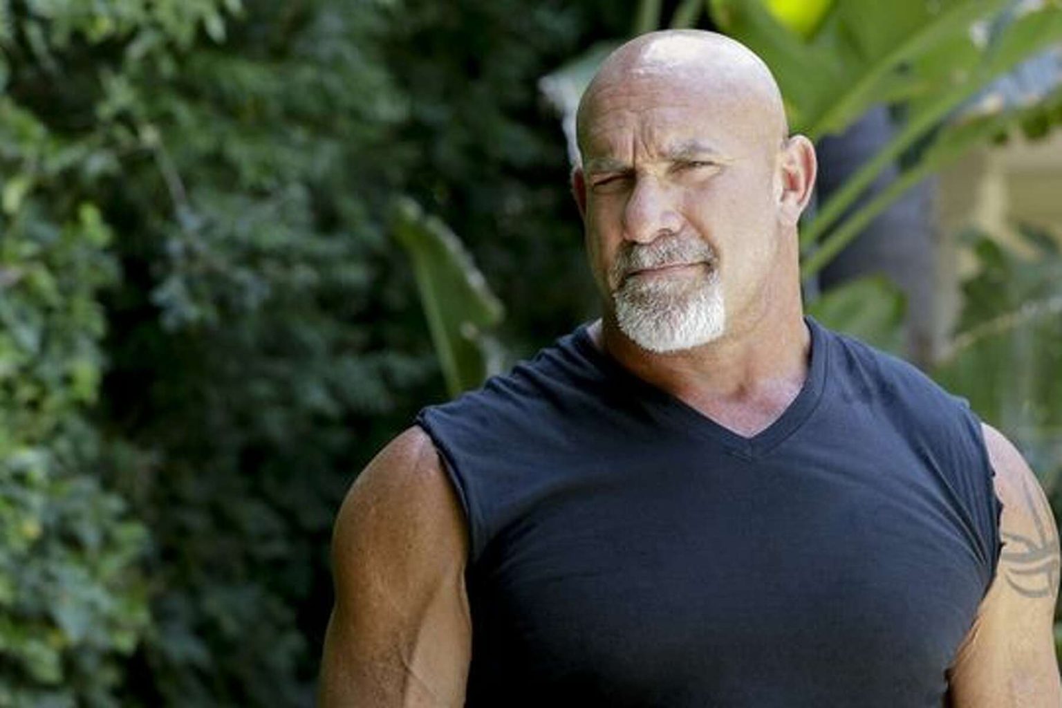 Bill Goldberg Net Worth 2024 Salary, Age and Home