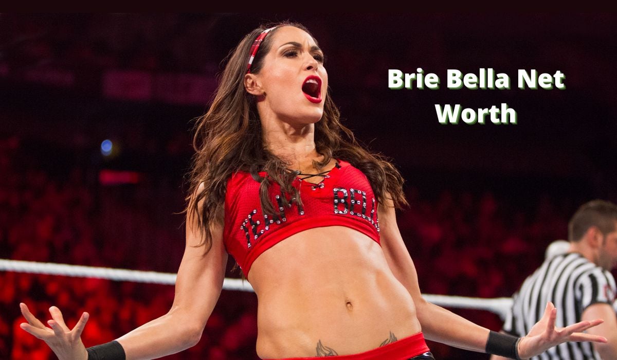 Brie Bella Net Worth