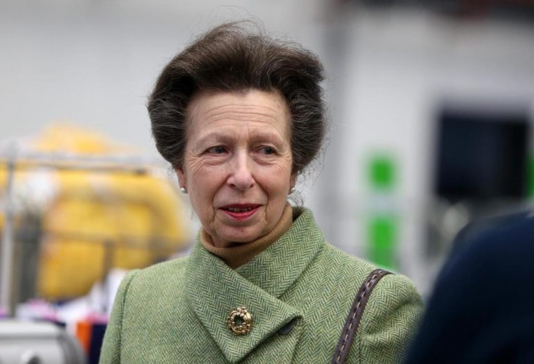 Princess Anne Net Worth 2024: Assets, Earnings, Age, and Car