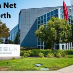 Tesla Net Worth