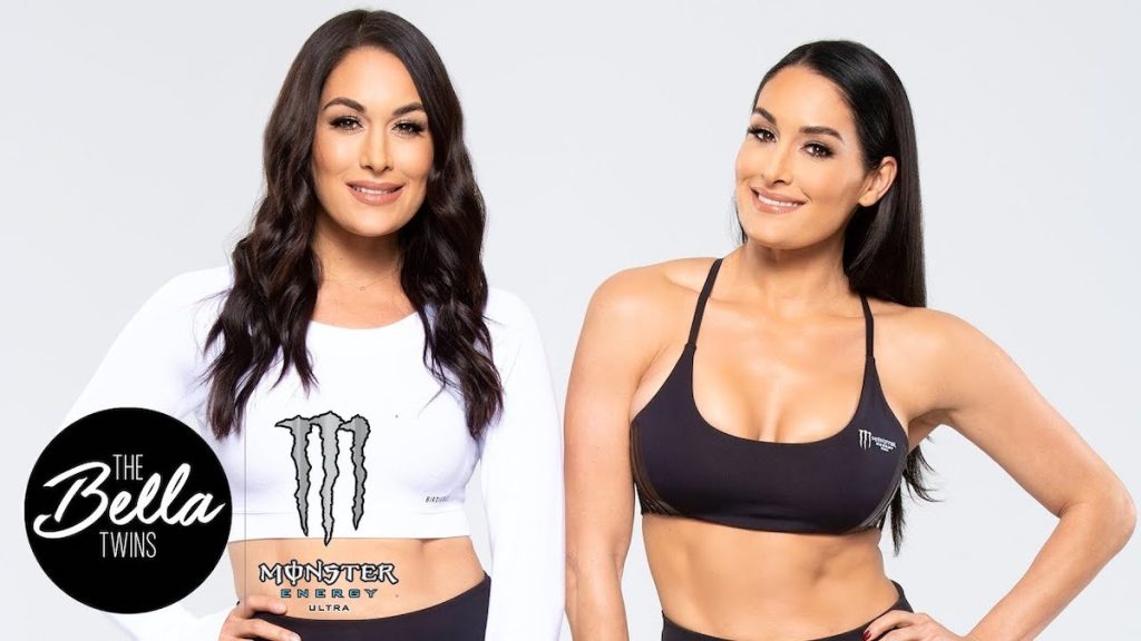 The Bella Twins Biography