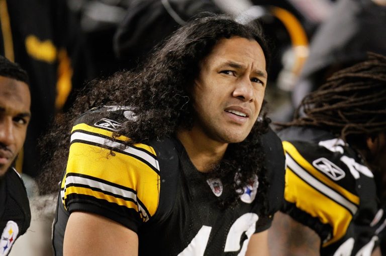 Troy Polamalu Net Worth 2024 NFL Earnings, Height and Age