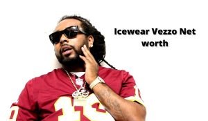 Icewear Vezzo Net worth
