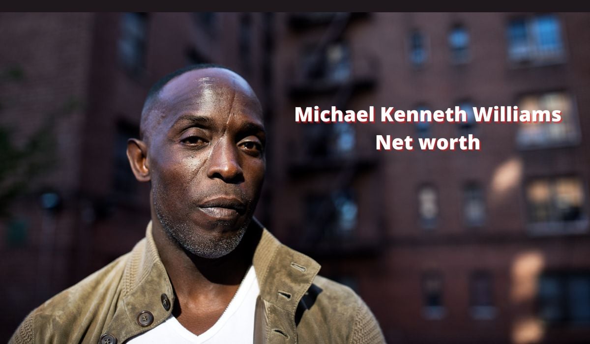 Michael Kenneth Williams Net worth