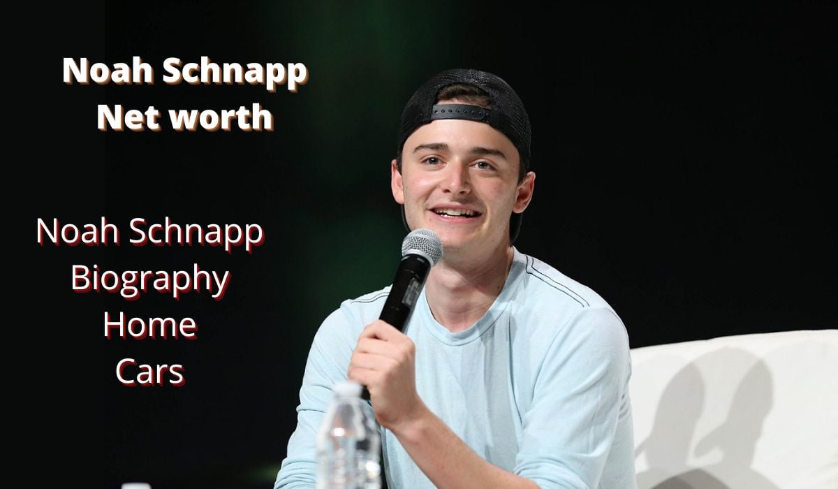 Noah Schnapp Net worth