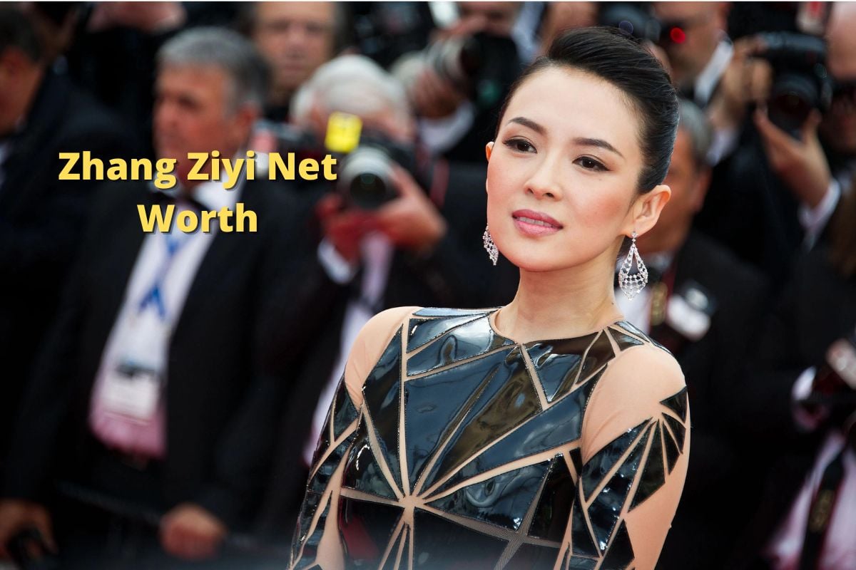 Zhang Ziyi Net Worth