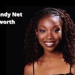 Brandy Net worth