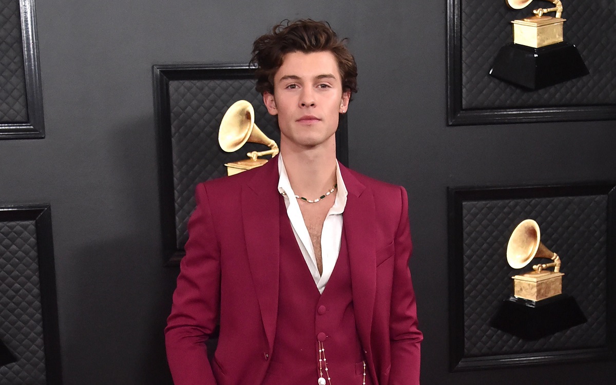 Shawn Mendes Net Worth 2022: Biography Career Income Cars
