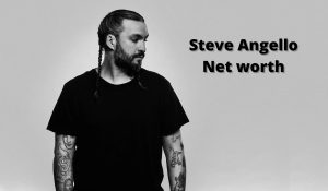 Steve Angello Net worth