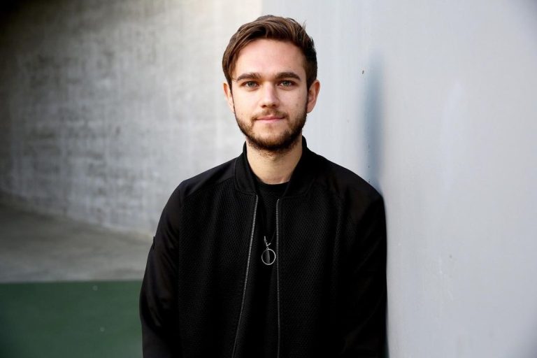 Zedd Net Worth 2024 Age, Salary, GF and Parents