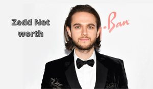 Zedd Net worth