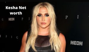 Kesha Net Worth 2023: Singer Career Income House Cars Age