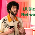 Lil Dicky Net worth