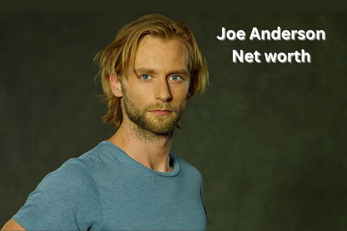 Joe Anderson Net worth