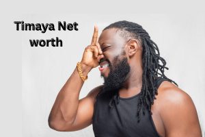 Timaya Net worth