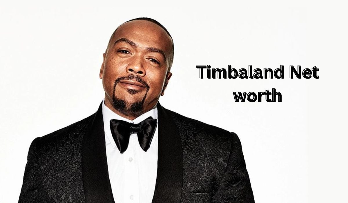 Timbaland Net worth