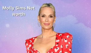 Molly Sims Net Worth 2023: Modeling Career House Cars Age