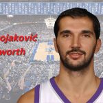 Peja Stojaković Net worth