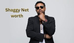 Shaggy Net Worth 2023: Singing Career Assets Earnings Age
