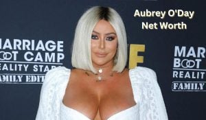 Aubrey O'Day Net Worth 2023: Singing Career Home Income Age