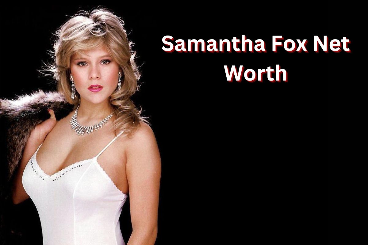 Samantha fox worth