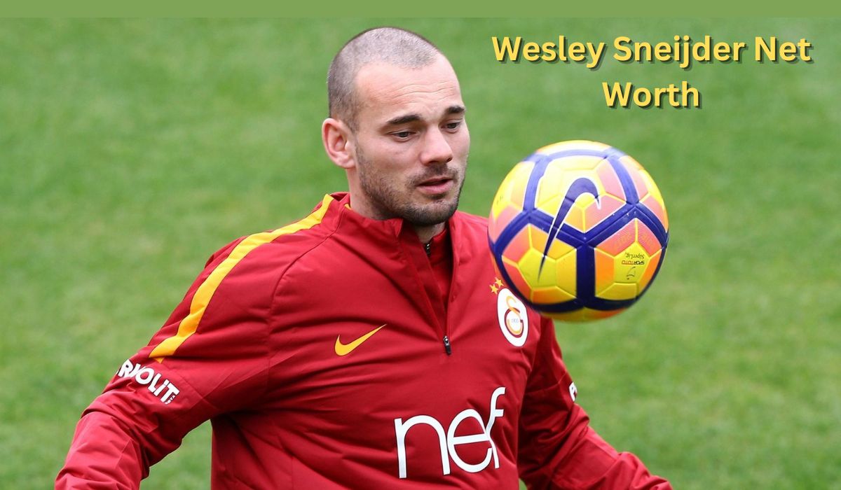 Wesley Sneijder Net Worth
