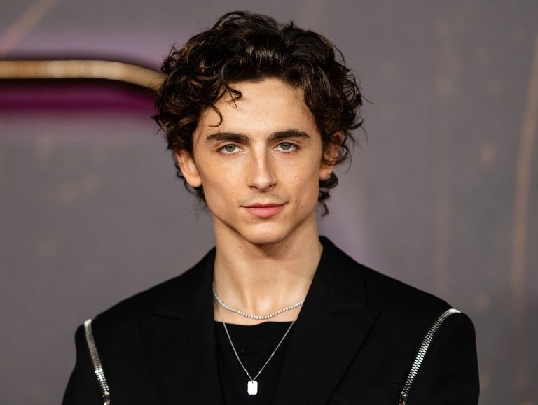 Timothée Chalamet Net Worth 2024 Movies, Earnings and Age