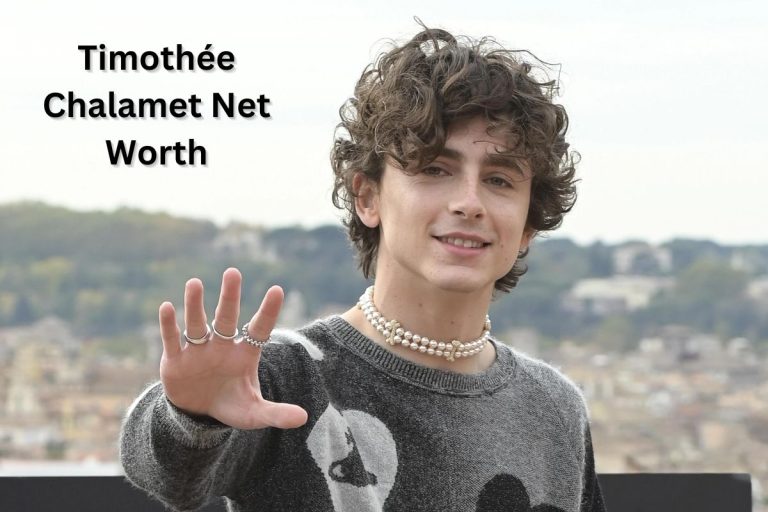 Timothée Chalamet Net Worth 2024 Movies, Earnings and Age