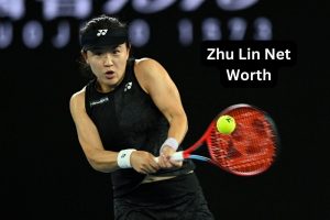 Zhu Lin Net Worth