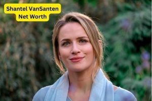 Shantel VanSanten Net Worth